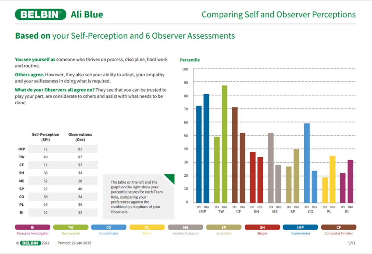 Belbin example