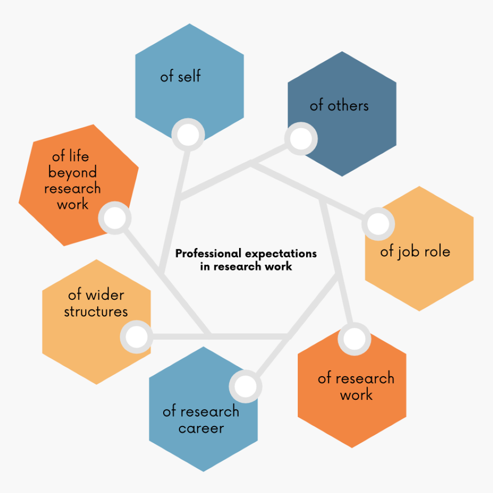 Professional expectations in research work